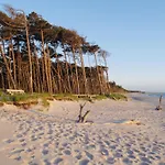 14 - Halbinsel Darss - Ostsee *