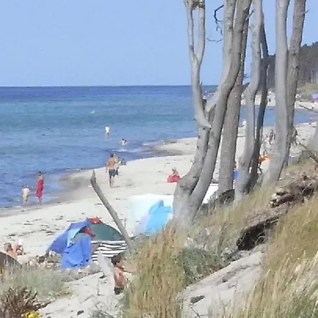 14 - Halbinsel Darss - Ostsee