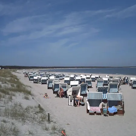 14 - Halbinsel Darss - Ostsee * 维克