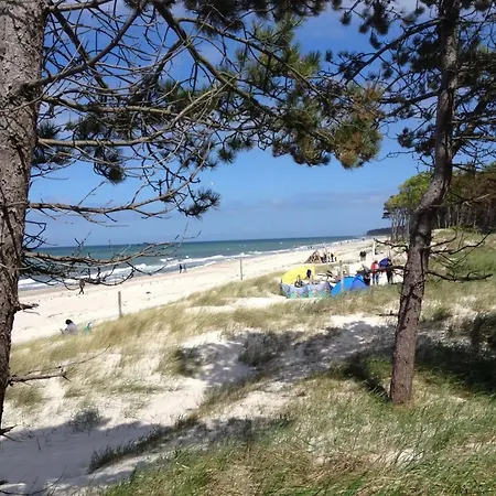 14 - Halbinsel Darss - Ostsee *