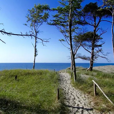 14 - Halbinsel Darss - Ostsee *