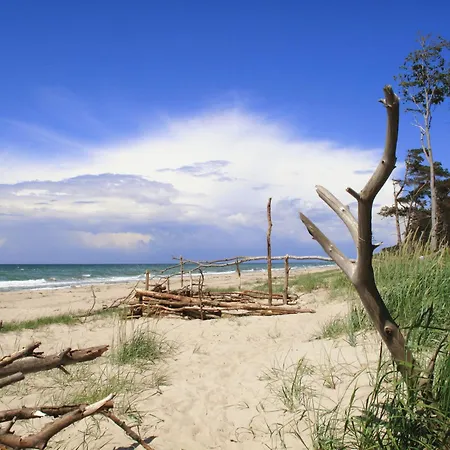14 - Halbinsel Darss - Ostsee