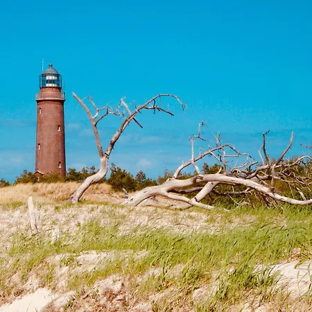 14 - Halbinsel Darss - Ostsee 维克