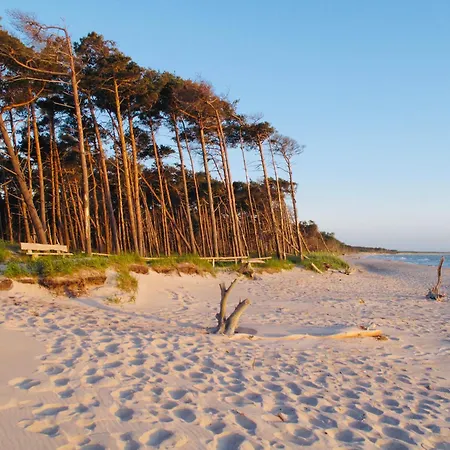 14 - Halbinsel Darss - Ostsee * 维克